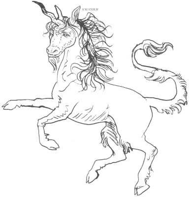 unicornsketch